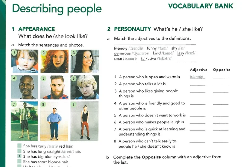 بانک واژگان