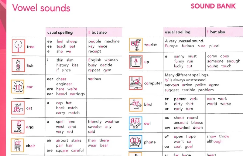 بخش فونتیک ها و آواها