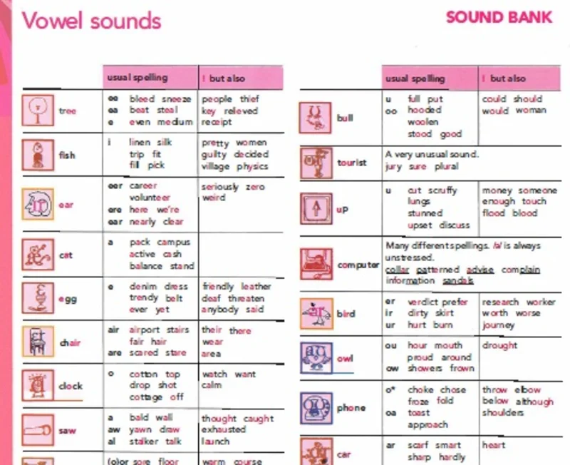 بخش فونتیک ها و آواها