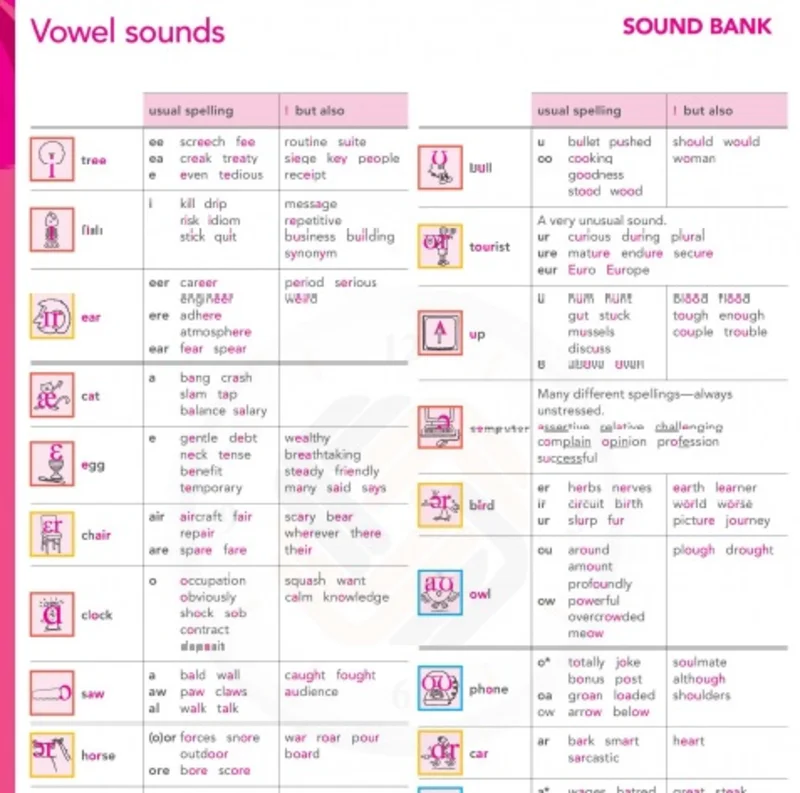 بخش فونتیک ها و آواها