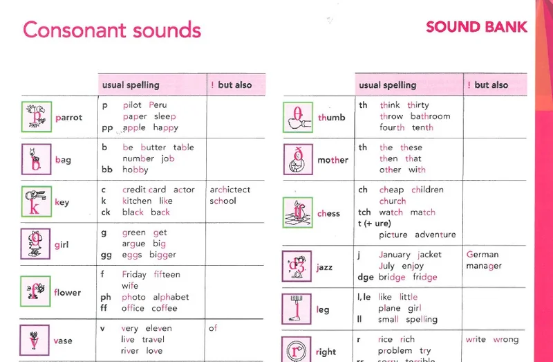 بخش فونتیک ها و آواها