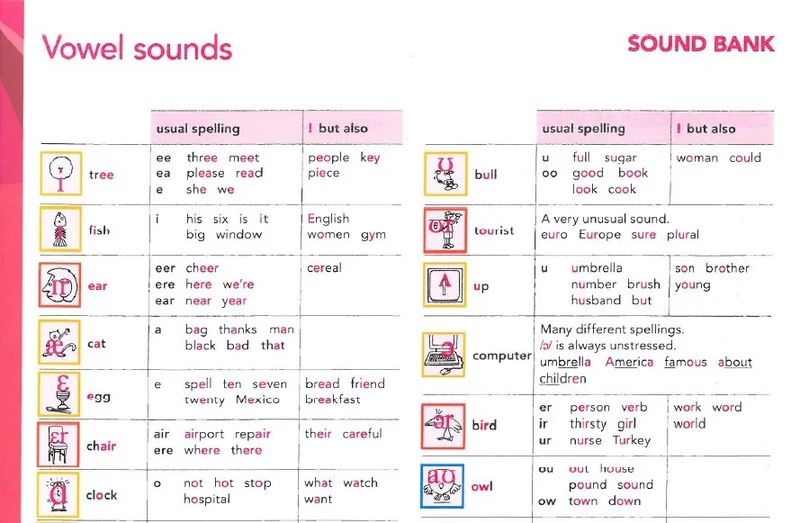 بخش فونتیک ها و آواها