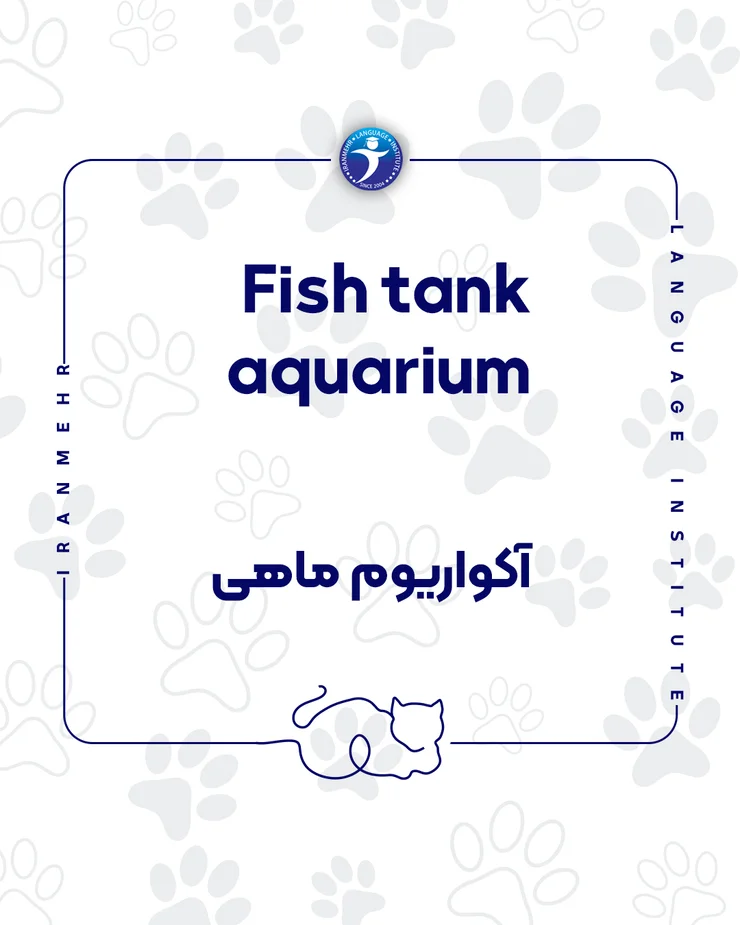 اگر حیوان خانگی داری این کلمات را حتما یاد بگیر اکواریوم ماهی