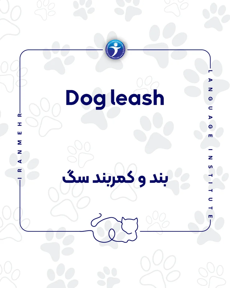 اگر حیوان خانگی داری این کلمات را حتما یاد بگیر بند و کمربند سگ