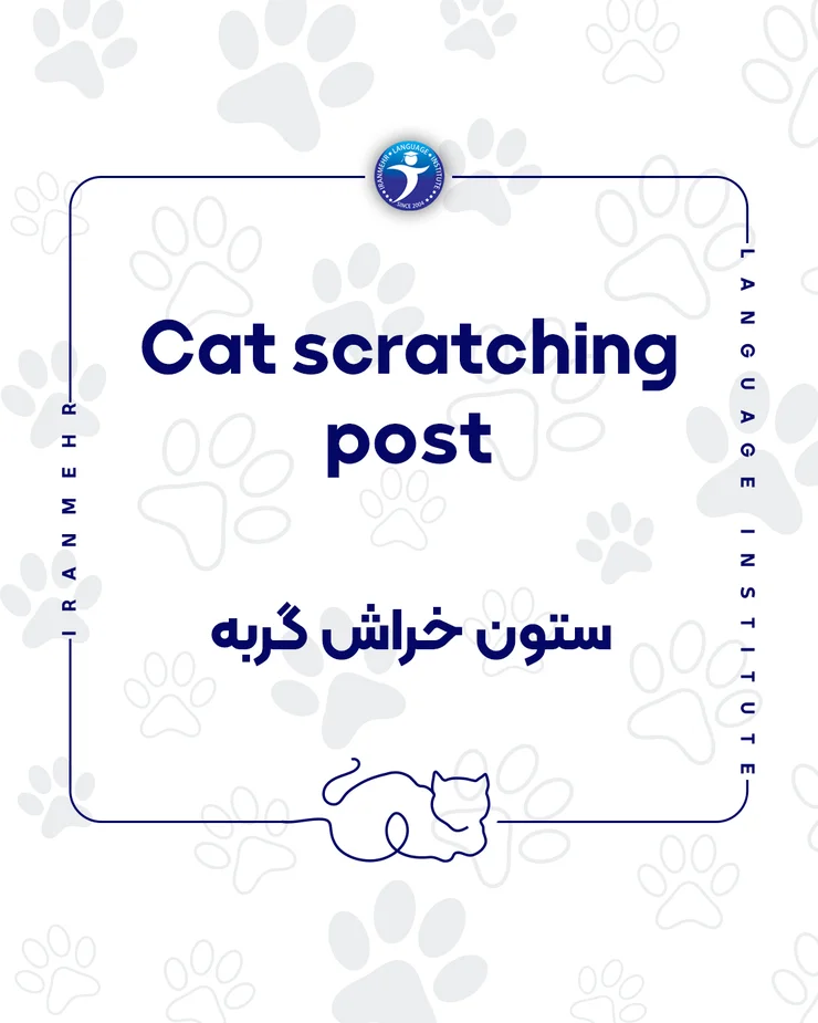 اگر حیوان خانگی داری این کلمات را حتما یاد بگیر ستون خراش گربه