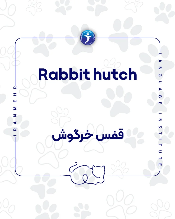 اگر حیوان خانگی داری این کلمات را حتما یاد بگیر قفس خرگوش