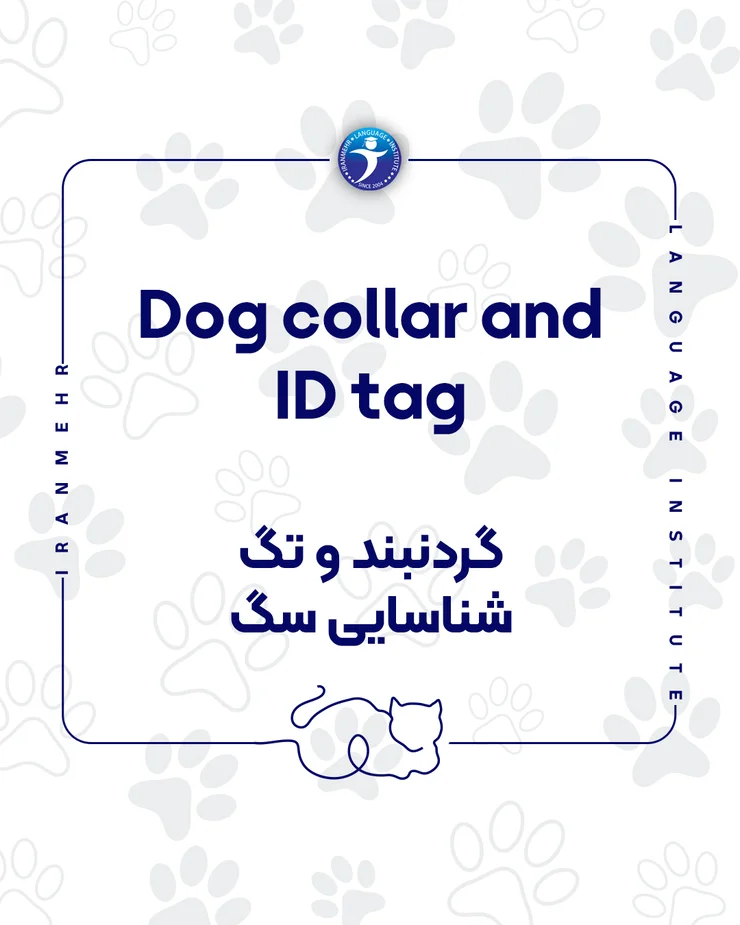 اگر حیوان خانگی داری این کلمات را حتما یاد بگیر گردنبند شناسایی سگ