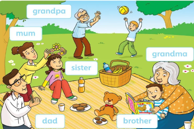 داستان (Story)