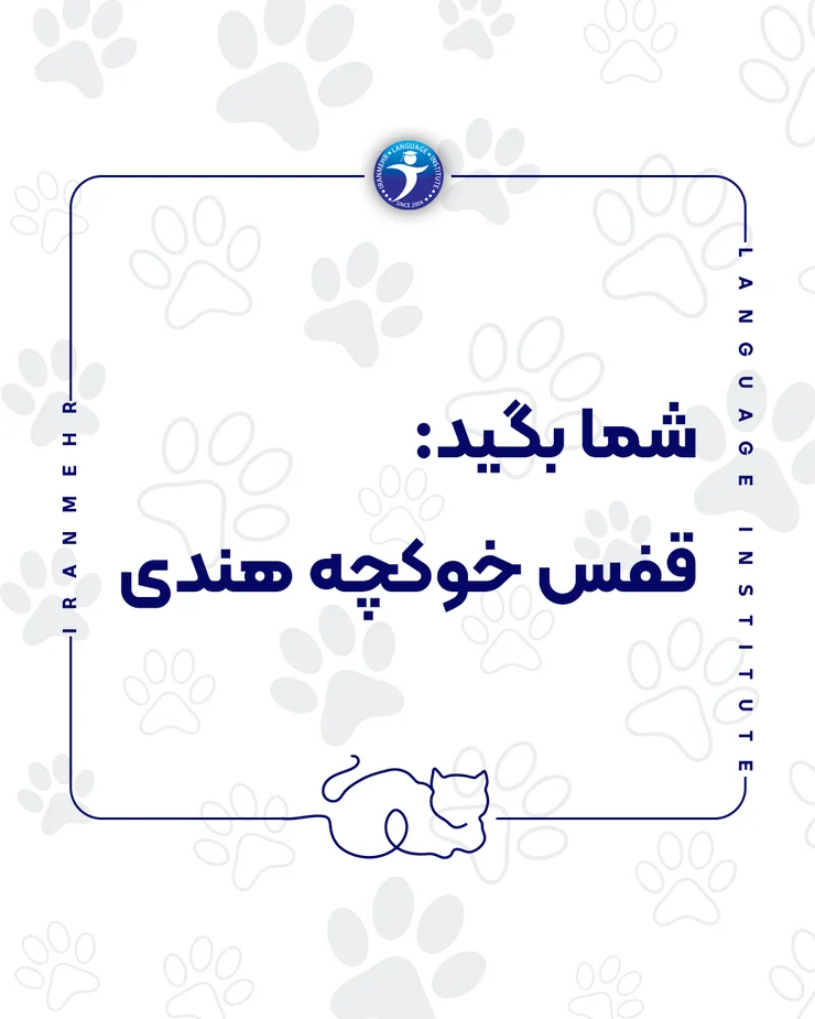 شما بگید قفس خوکچه هندی