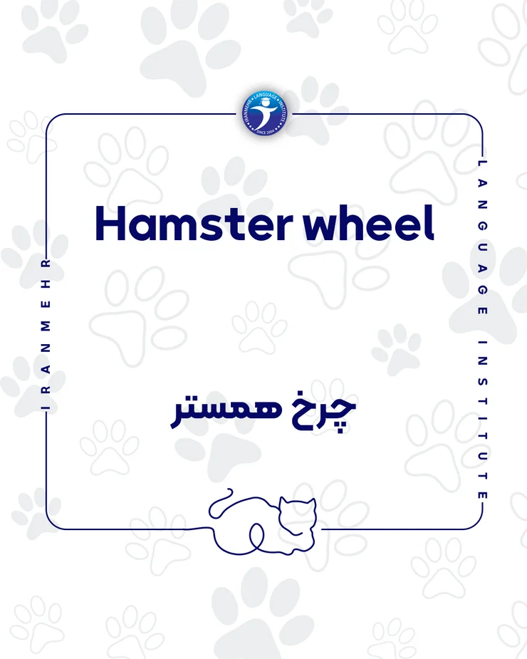 گر حیوان خانگی داری این کلمات را حتما یاد بگیر چرخ همستر