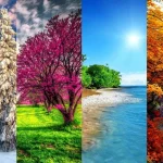 ماه های سال به زبان اسپانیایی