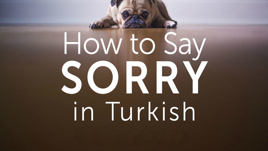عذرخواهی کردن به زبان ترکی استانبولی