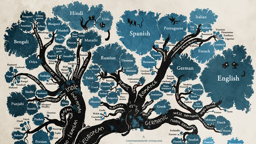 11 کلمه ای که از زبان های دیگر وارد زبان ترکی شده اند