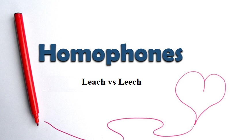تفاوت Leach با Leech