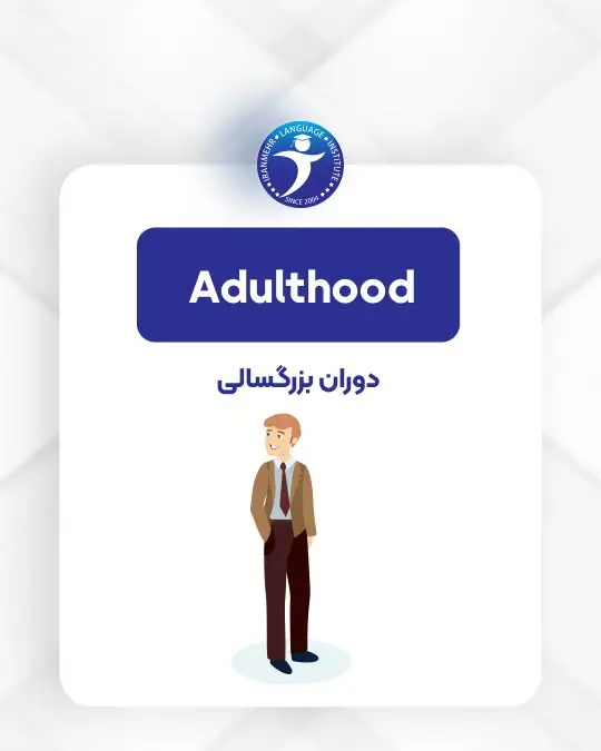 مراحل زندگی دوران بزرگسالی