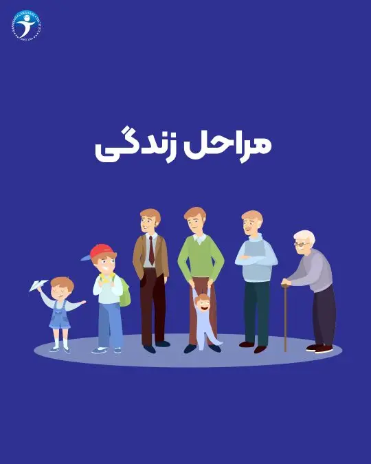 مراحل زندگی