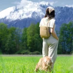 وازگان انگلیسی برای سفر با سگ