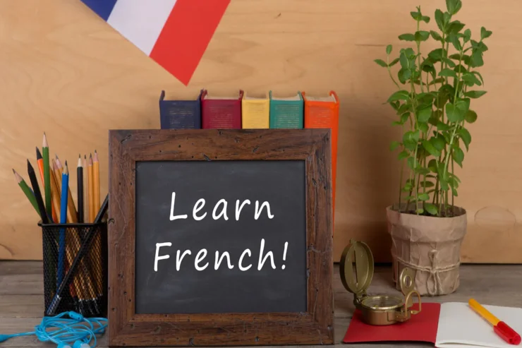 بعد از انگلیسی چه زبانی یاد بگیریم؟زبا ن فرانسه
