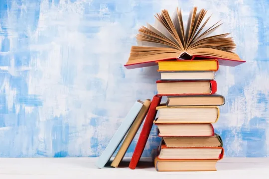 حالتهای اسامی در زبان ترکی استانبولی