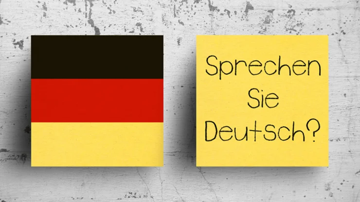Dativ and Akkusativ cases in German