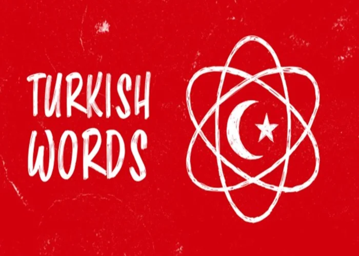 کلمات ضروری زبان ترکی استانبولی