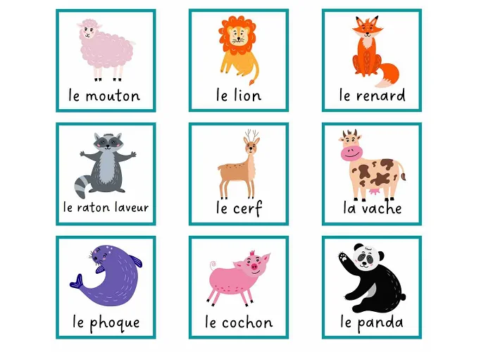 لیست کامل حیوانات به زبان فرانسوی 3 حیوانات مزرعه به زبان فرانسوی