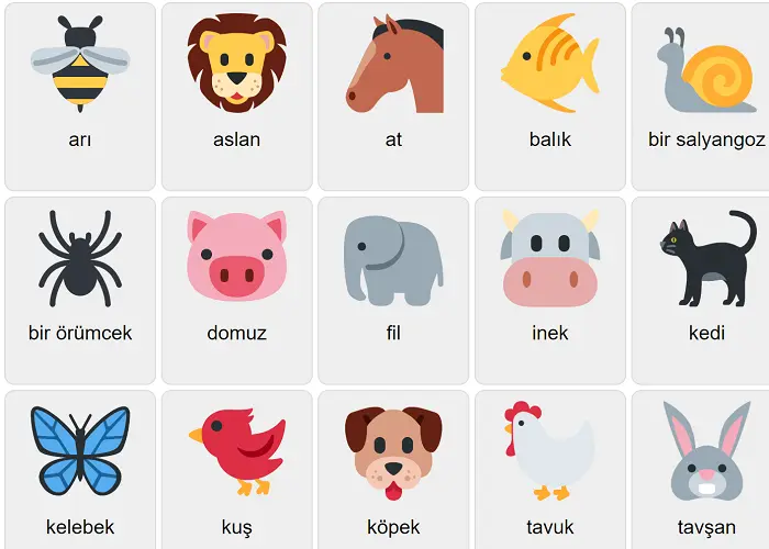 آشنایی با اسامی حیوانات مزرعه به زبان ترکی استانبولی 