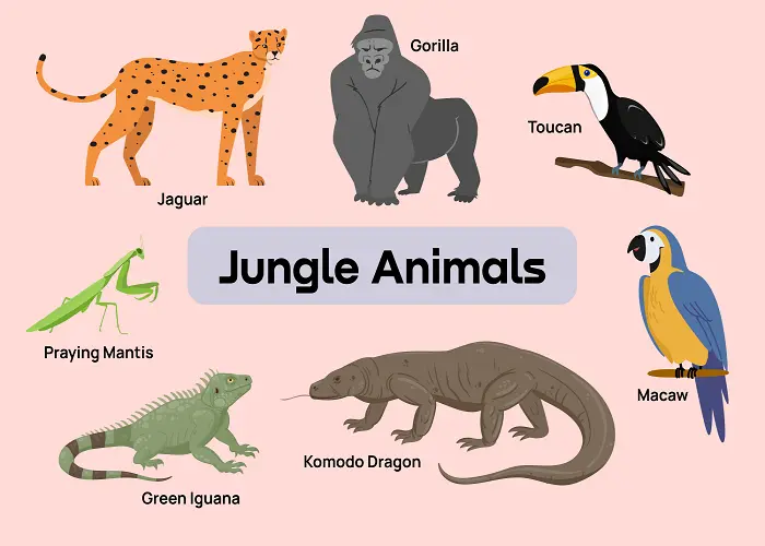 لیست کامل حیوانات به زبان فرانسوی 5 لیست حشرات به زبان فرانسوی