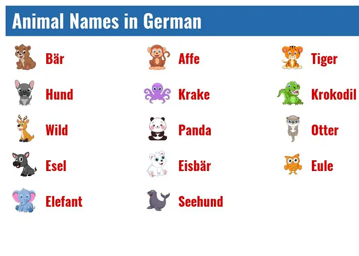 لیست کامل حیوانات به آلمانی 3 لیست حیوانات خانگی به زبان آلمانی