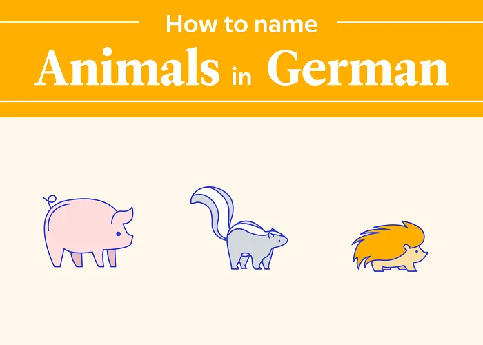 لیست کامل حیوانات به آلمانی 5 حیوانات دریایی به زبان آلمانی