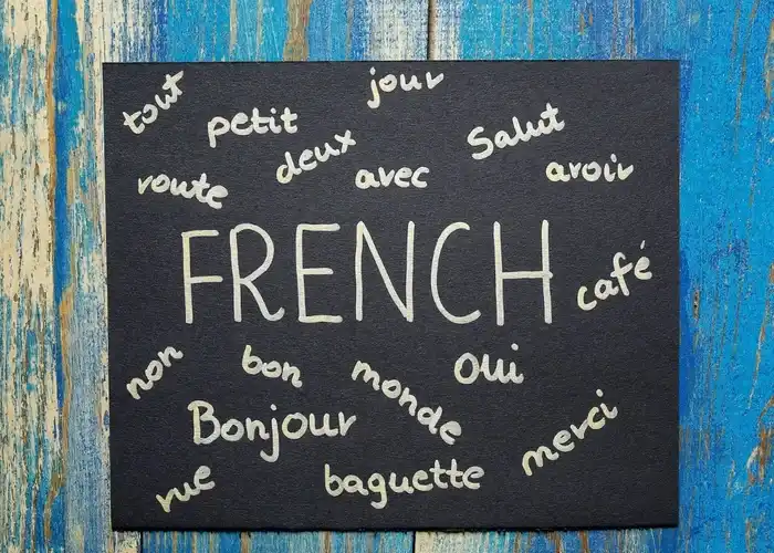 اهمیت افعال گروه اول زبان فرانسه؛ کاربرد آن ها