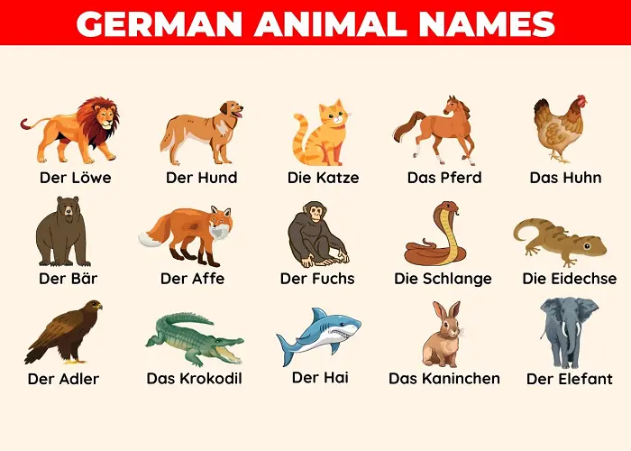 لیست کامل حیوانات به آلمانی 4 حیوانات وحشی به زبان آلمانی